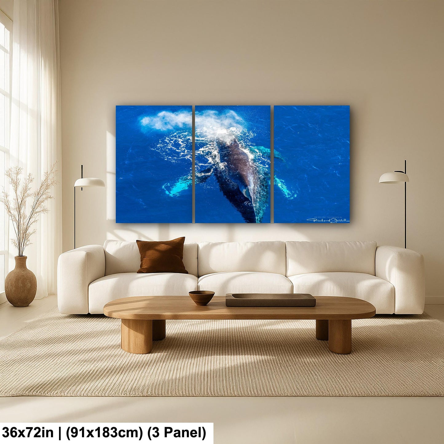 Humpback Whale Wall Art - Ocean Photo Print for Home