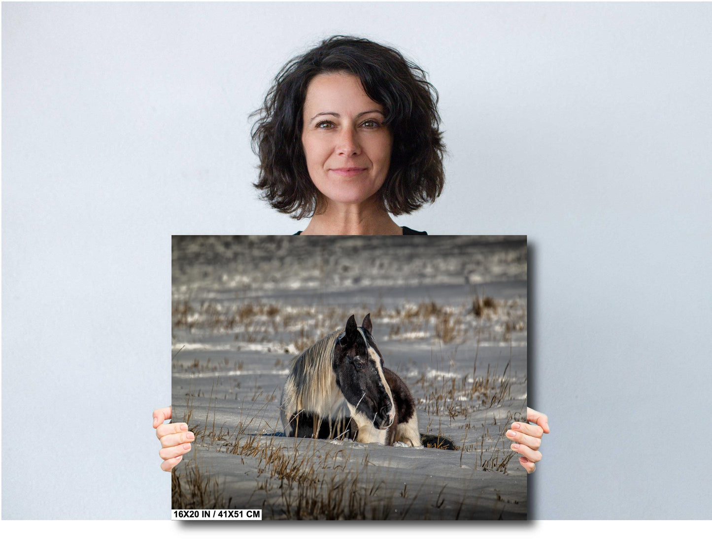 Horse Wall Art – Equine Wall Decor | Rustic Horse Print on Canvas & Metal