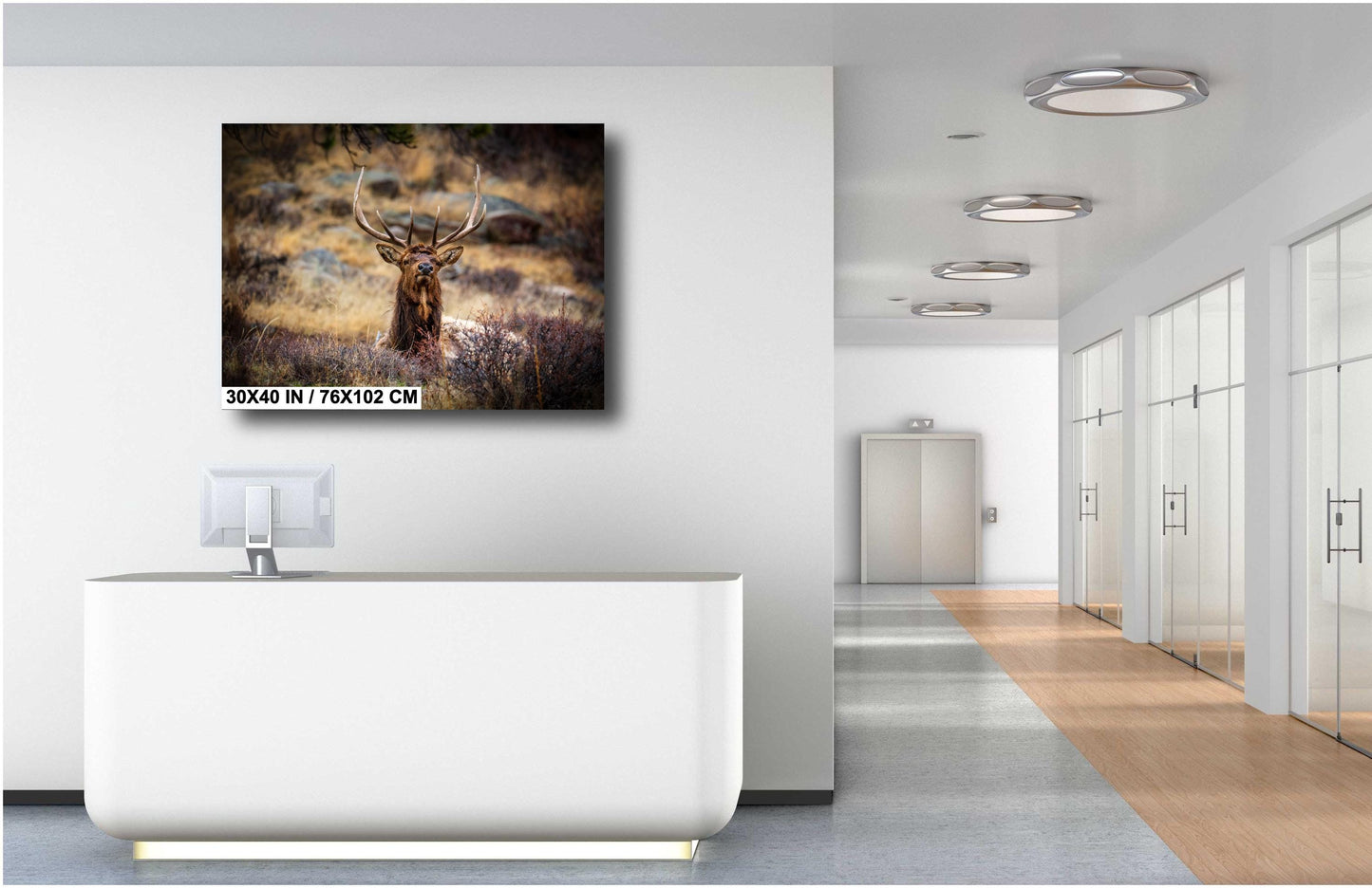 Elk Wall Art - Rocky Mountain Decor | Wildlife Print On Ready To Hang Canvas