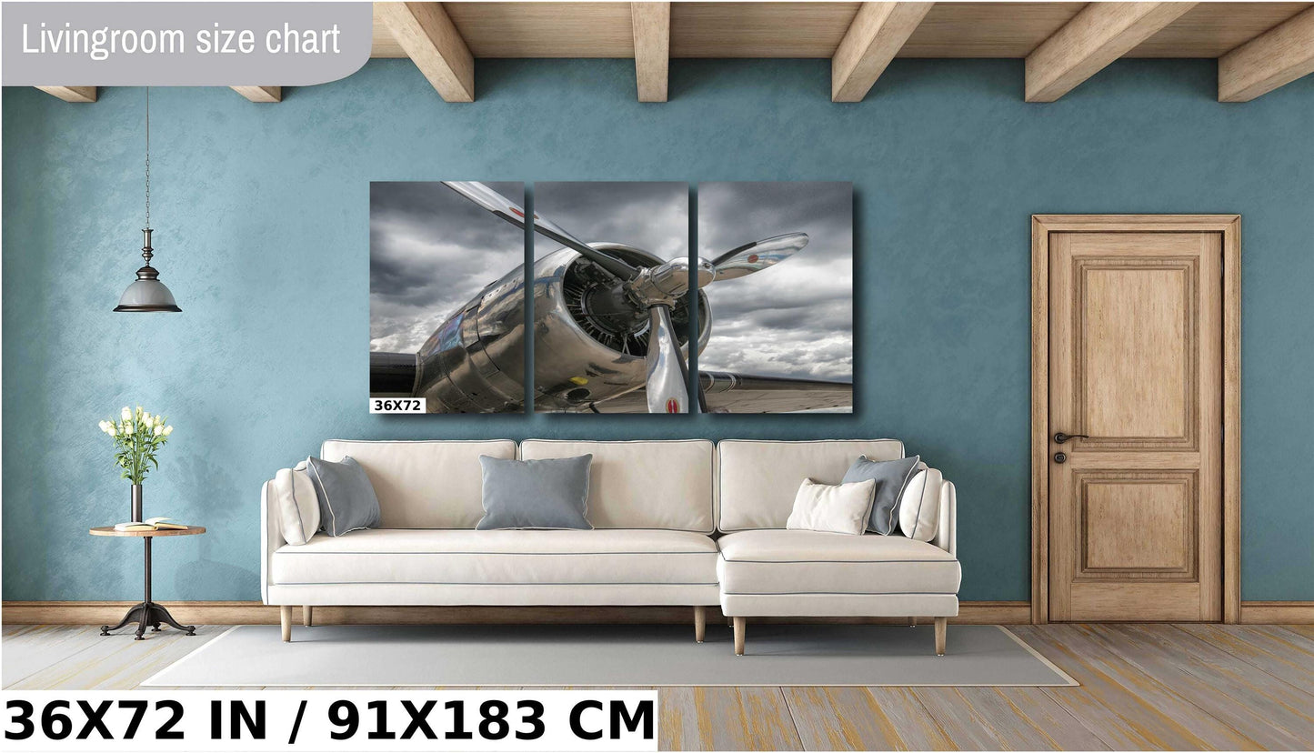 DC3 Plane Wall Art - Vintage Airplane Decor | Ready to Hang Canvas Print