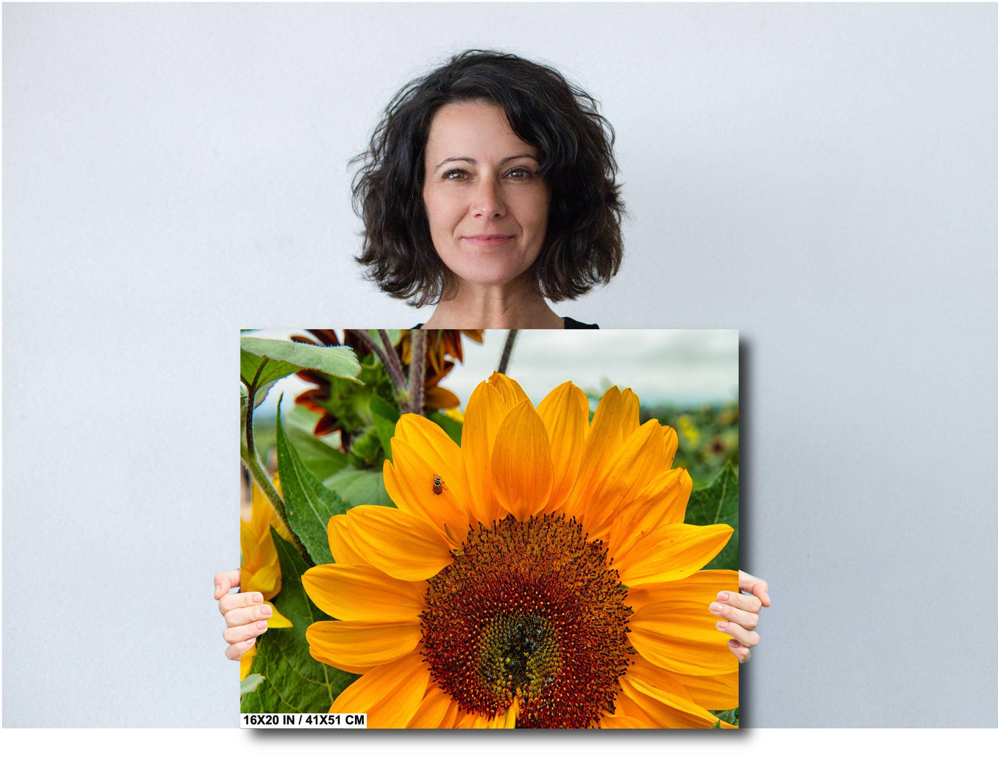 Yellow Sunflower Wall Art - Vibrant Ladybug On Sunflower Canvas Print Decor