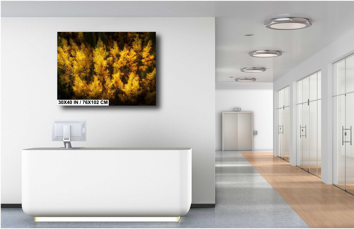 Golden Aspen Trees Print - Vibrant Fall Foliage Canvas | Nature Wall Decor