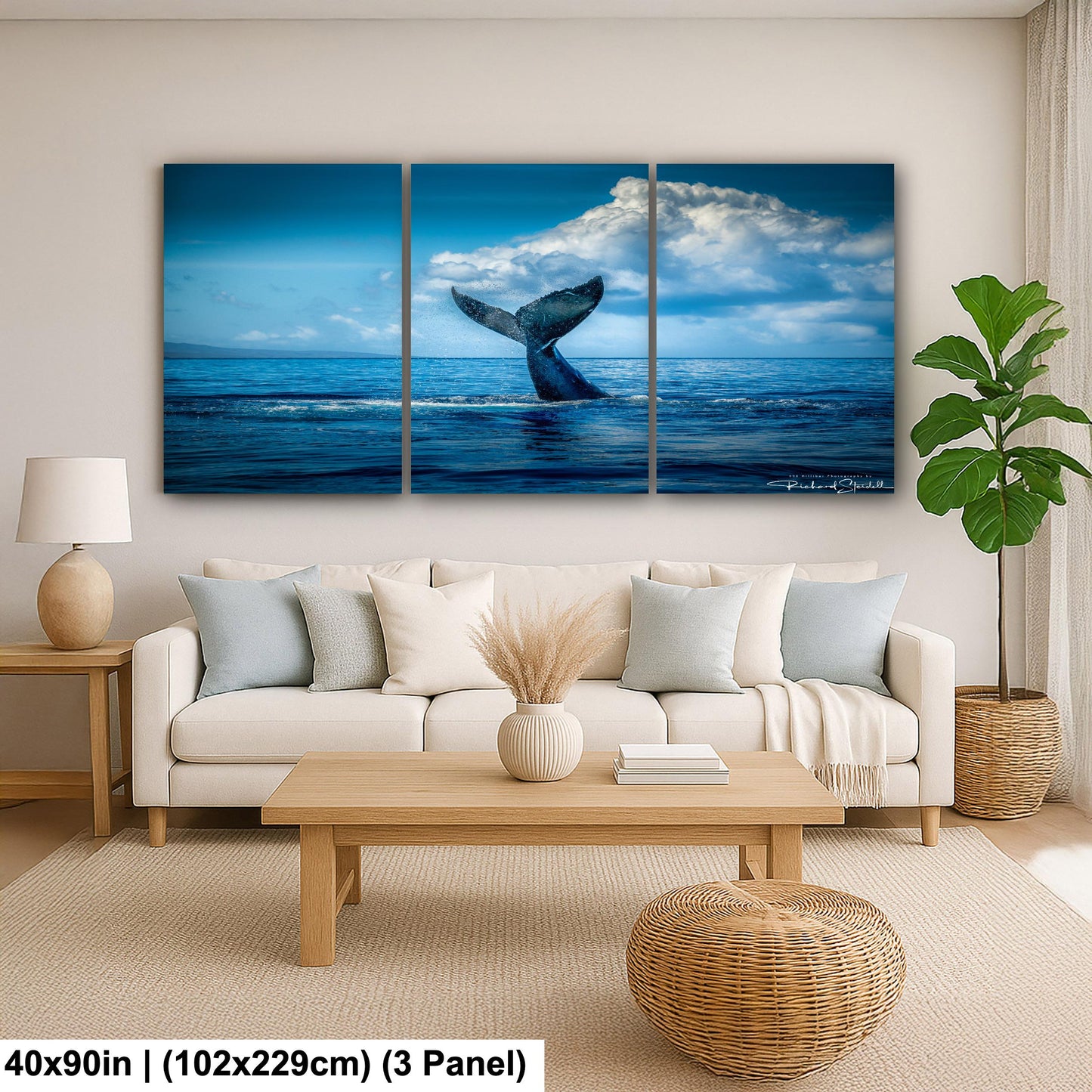 Humpback Whale Wall Art – Ocean Photo Print | Premium Photo Paper Decor