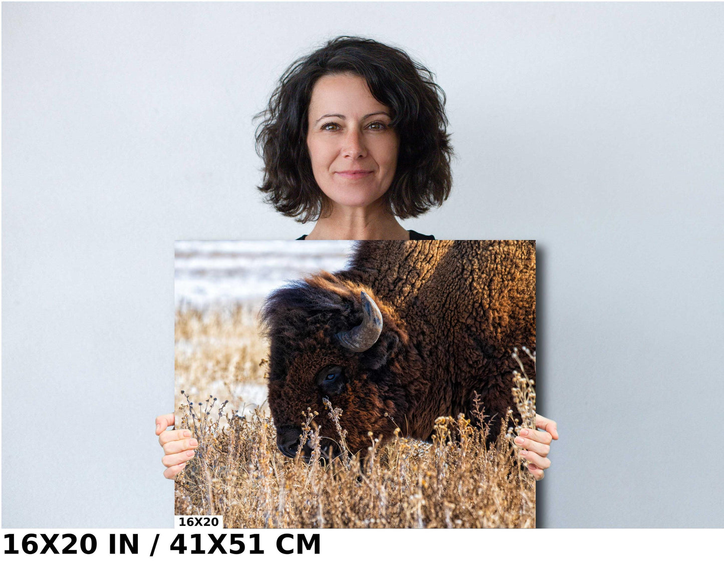 Bison Wall Art Print – Rustic Wildlife Canvas | Snowy Landscape Acrylic Decor