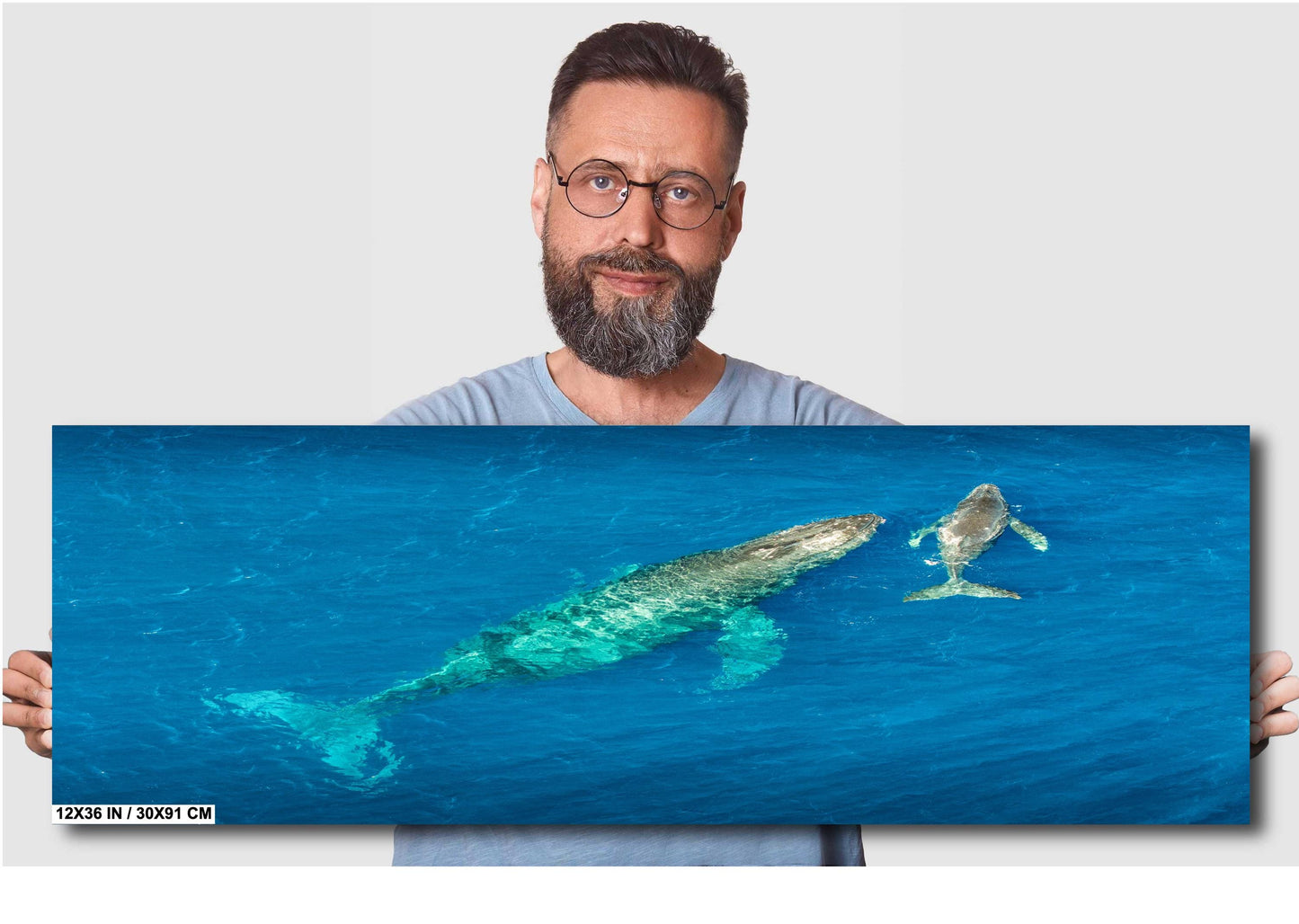 Humpback Whale Wall Art – Ocean Wall Decor | Marine Nursery Art & Coastal Home