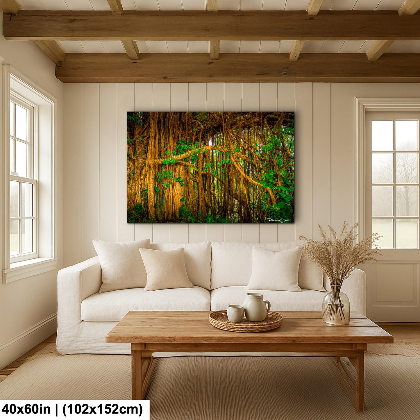 Tropical Maui Wall Art -Tree Forest Photo Print
