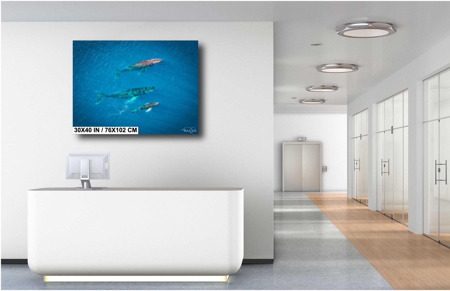 Humpback Whale Wall Art – Marine Home Decoration | Vibrant Ocean Canvas Print