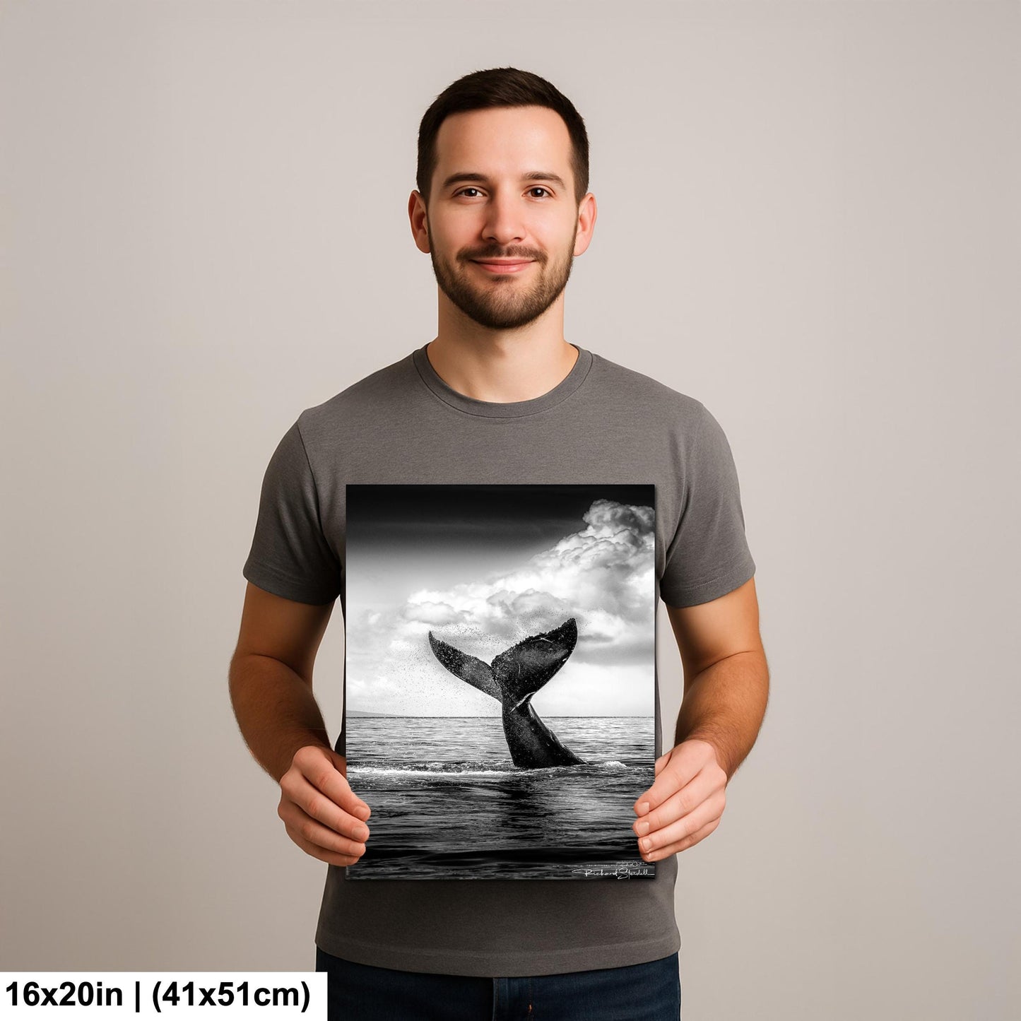 Humpback Whale Wall Art - Ocean Photo Print | Premium Paper & Canvas Decor