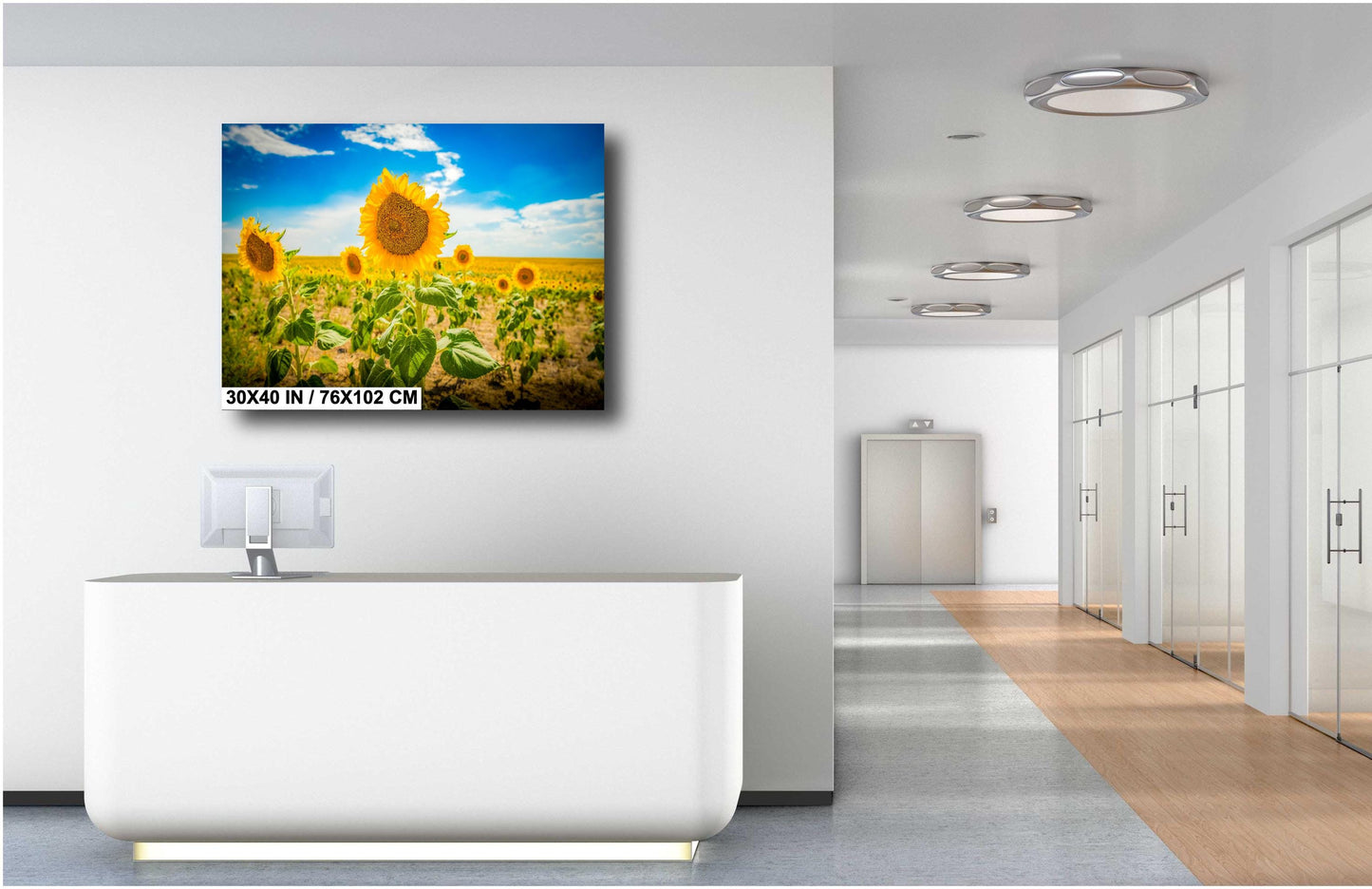 Sunflower Field Print - Vibrant Yellow Sunflower Canvas | Rustic Farmhouse Wall Art