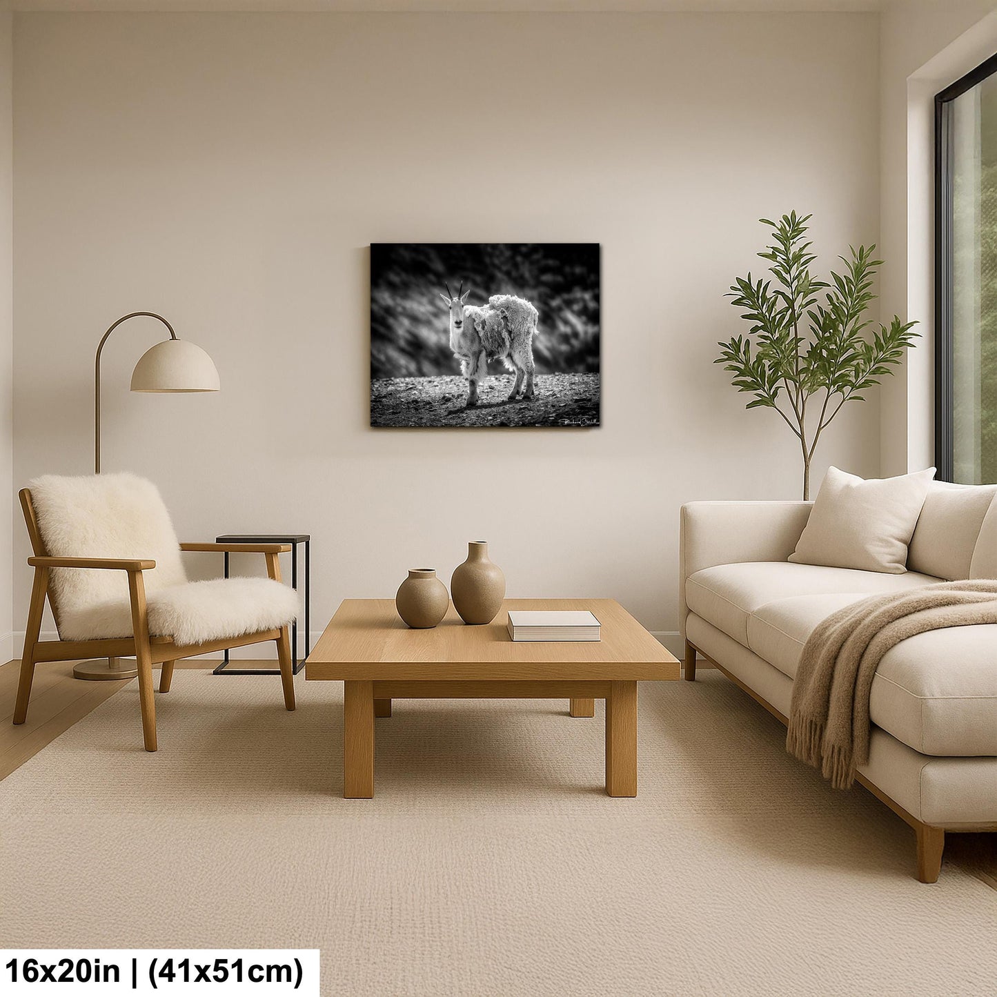 Mountain Goat Wall Art - Rustic Nature Decor | Ready to Hang Canvas Prints