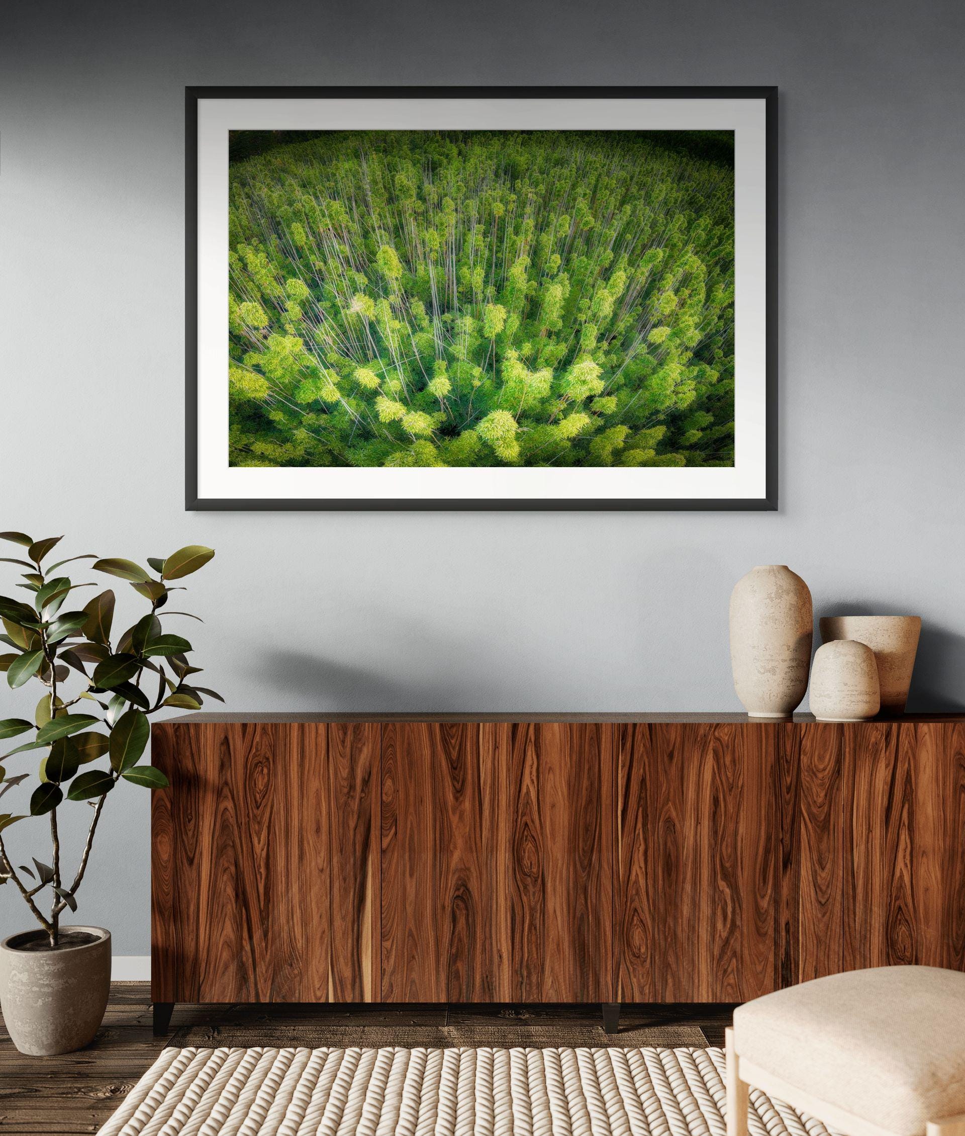 May include: A framed photograph of a forest from an aerial view. The trees are green and the image is in a black frame. The photograph is hanging on a gray wall above a dark brown wooden cabinet.