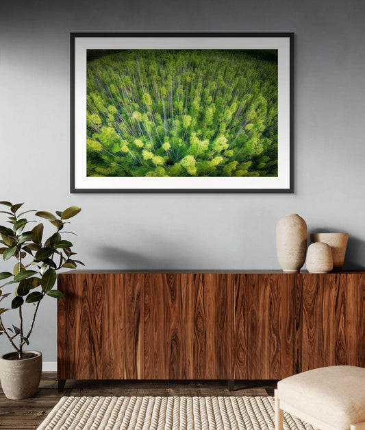 May include: A framed photograph of a forest from an aerial view. The trees are green and the image is in a black frame. The photograph is hanging on a gray wall above a dark brown wooden cabinet.
