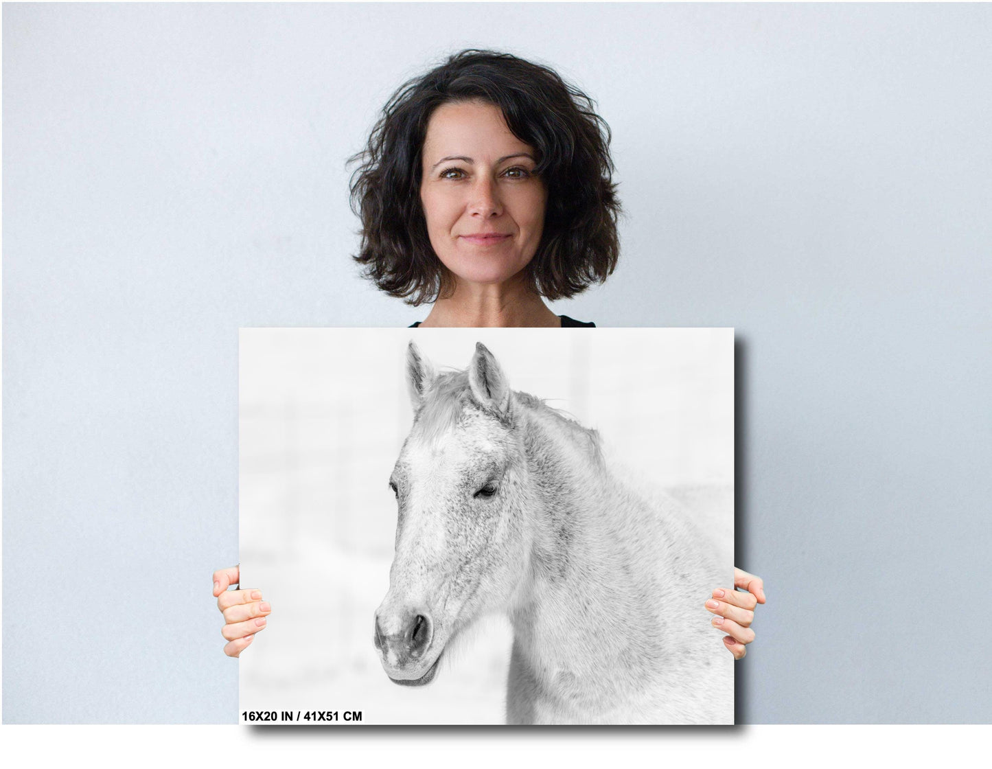 White Horse Wall Art – Serene Equine Wall Decor on Canvas, Metal & Acrylic Prints