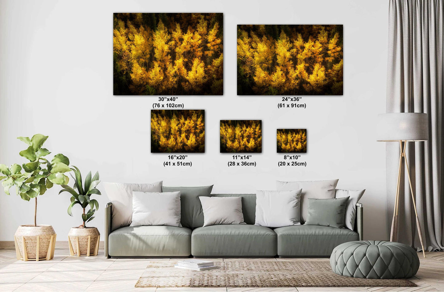 Golden Aspen Trees Print - Vibrant Fall Foliage Canvas | Nature Wall Decor