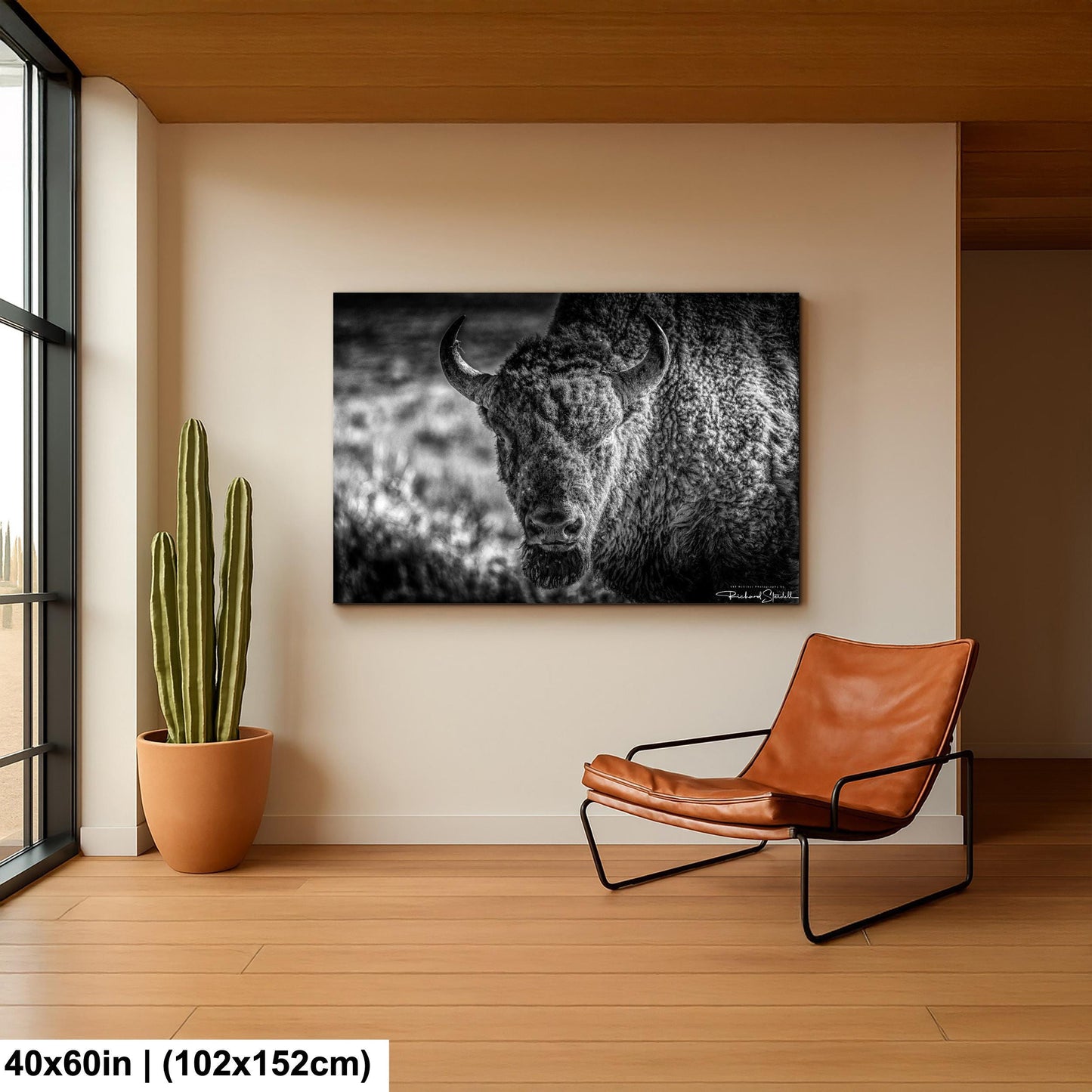 Buffalo Wall Art: Rustic Wildlife Photography - Ready to Hang
