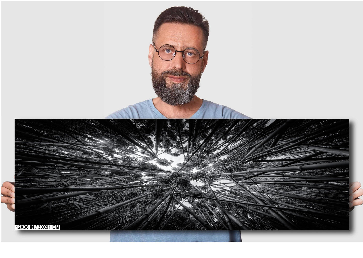 Bamboo Forest Wall Art – Nature Landscape Photography | Green Woodland Decor