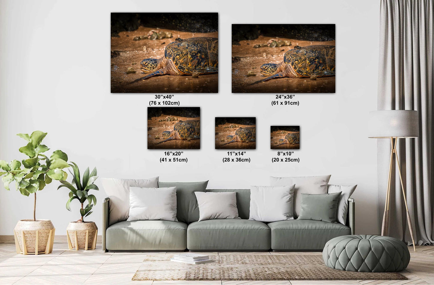 Sea Turtle Wall Art - Ocean Photography Print | Tropical Marine Life Artwork