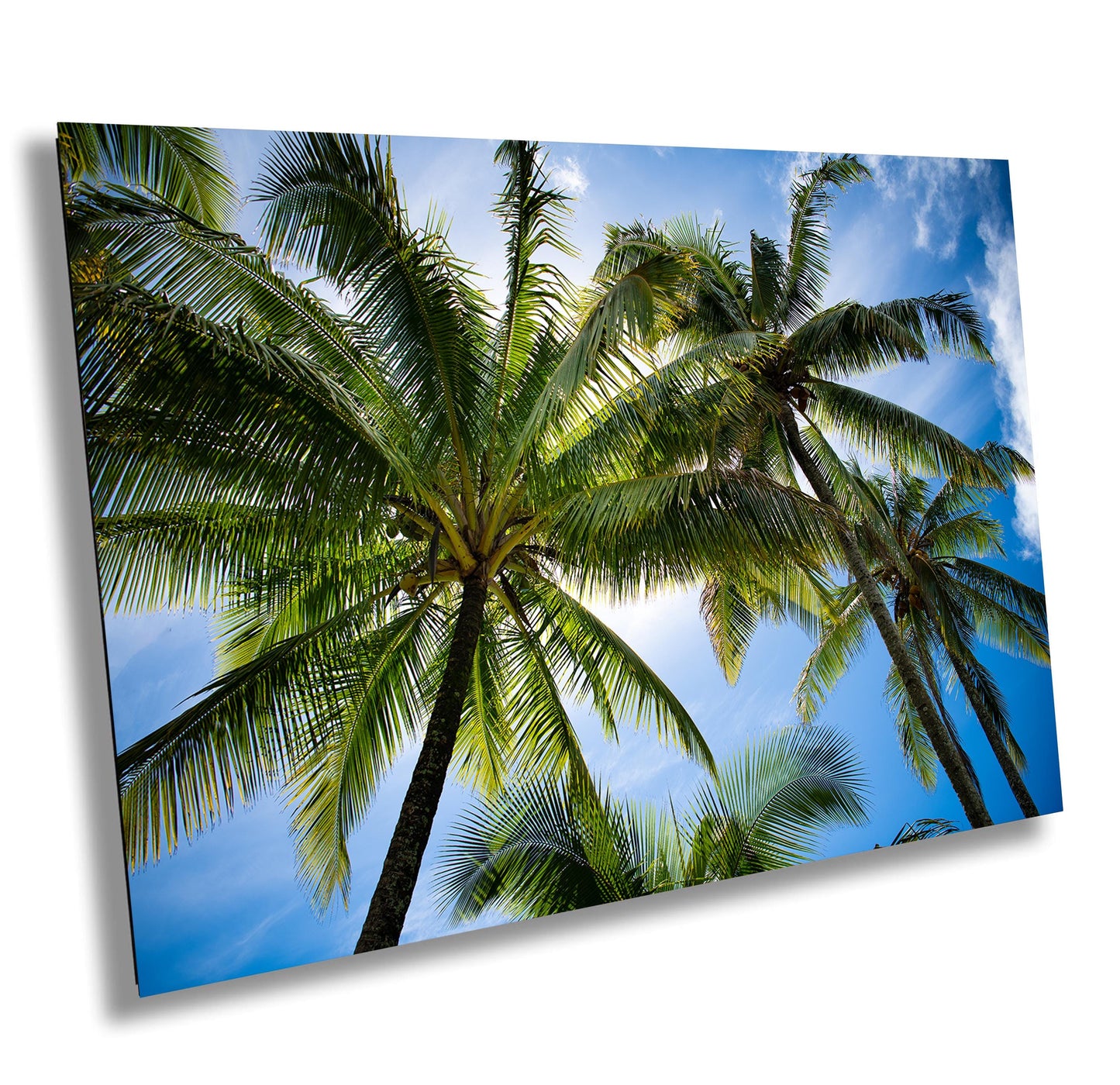 Tropical Wall Decor | Coastal Home Decor - Maui Palm Tree Art Canvas Print