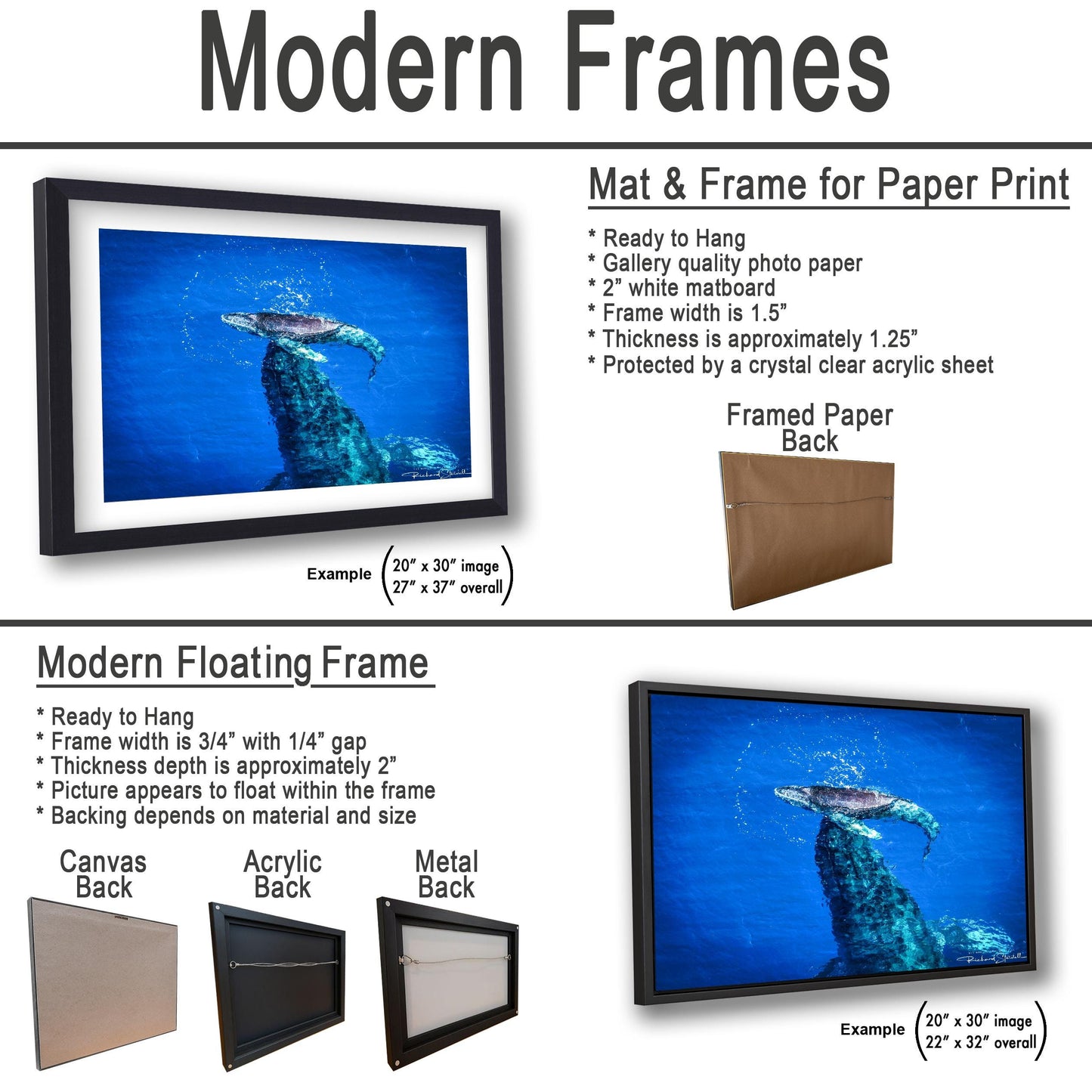 Humpback Whale Wall Art, Ocean Animal Print (Canvas, Metal, or Acrylic)