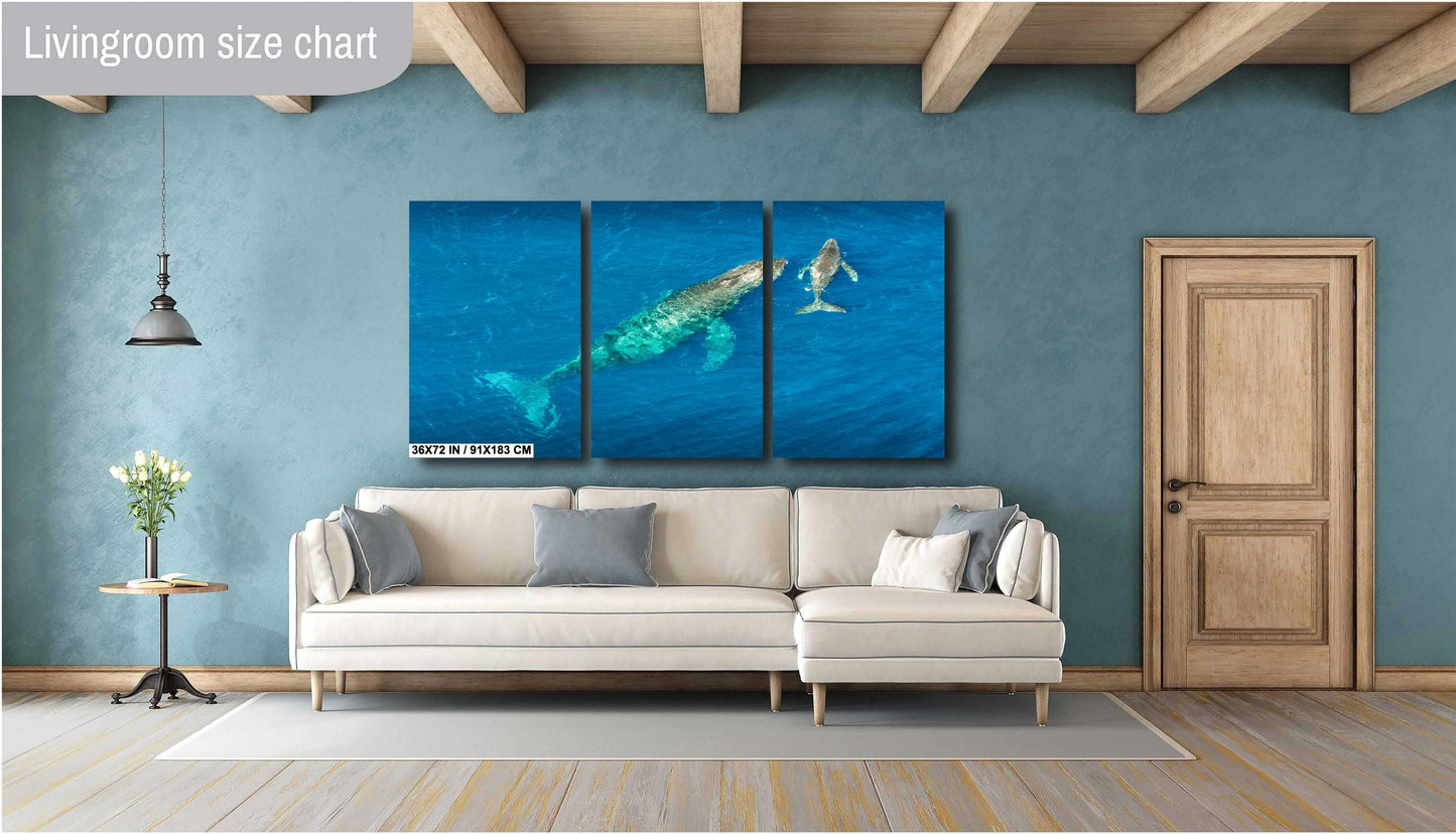 Humpback Whale Wall Art – Ocean Wall Decor | Marine Nursery Art & Coastal Home