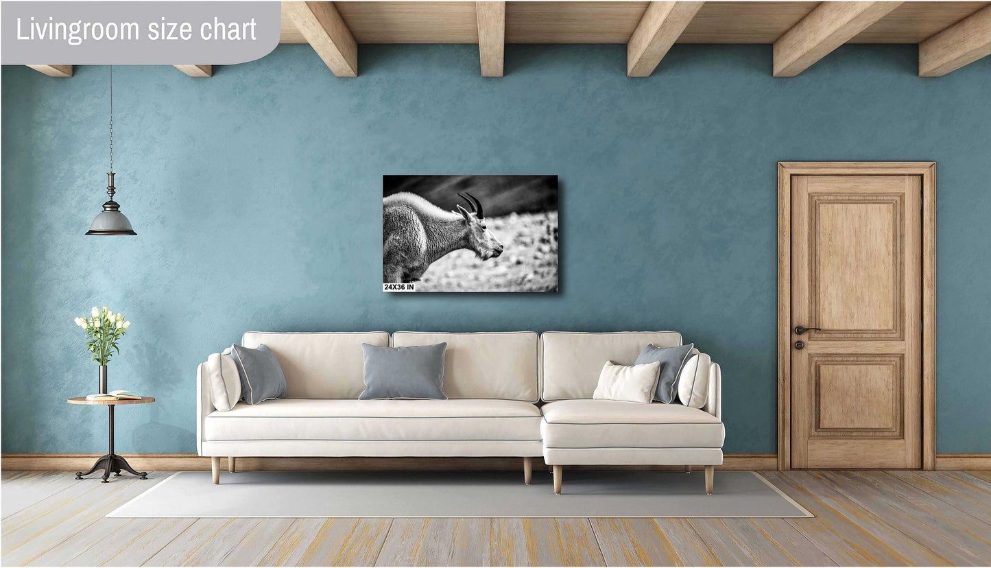 Mountain Goat Wall Art – Rustic Wildlife Photography Print | Black & White Decor