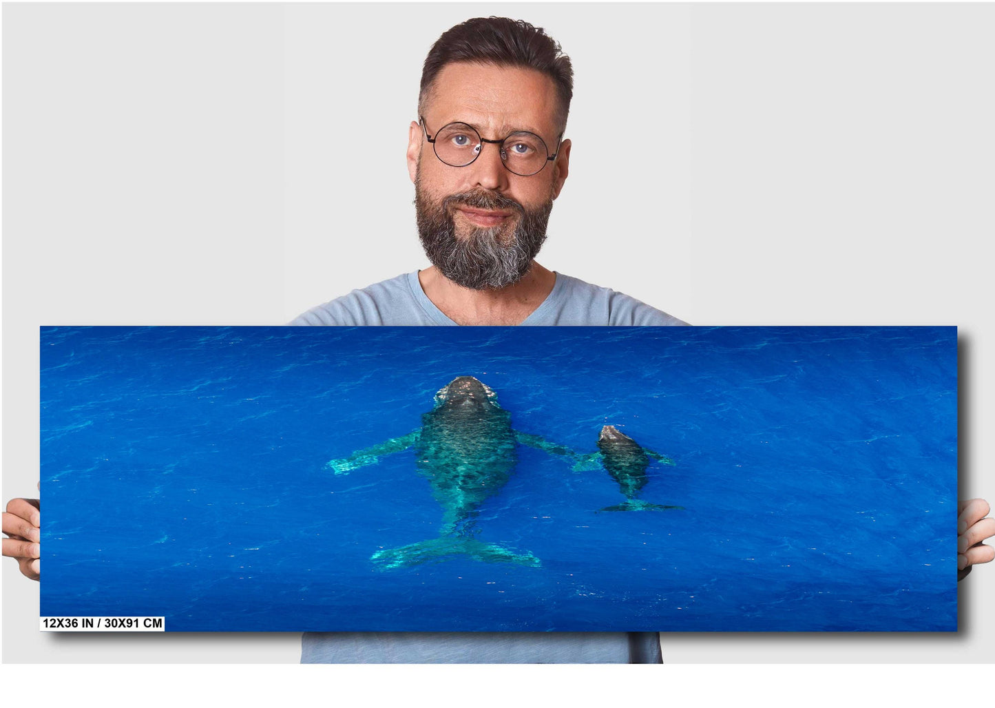 Humpback Whale Print - Canvas Wall Art | Metal & Acrylic Whale Wall Decor