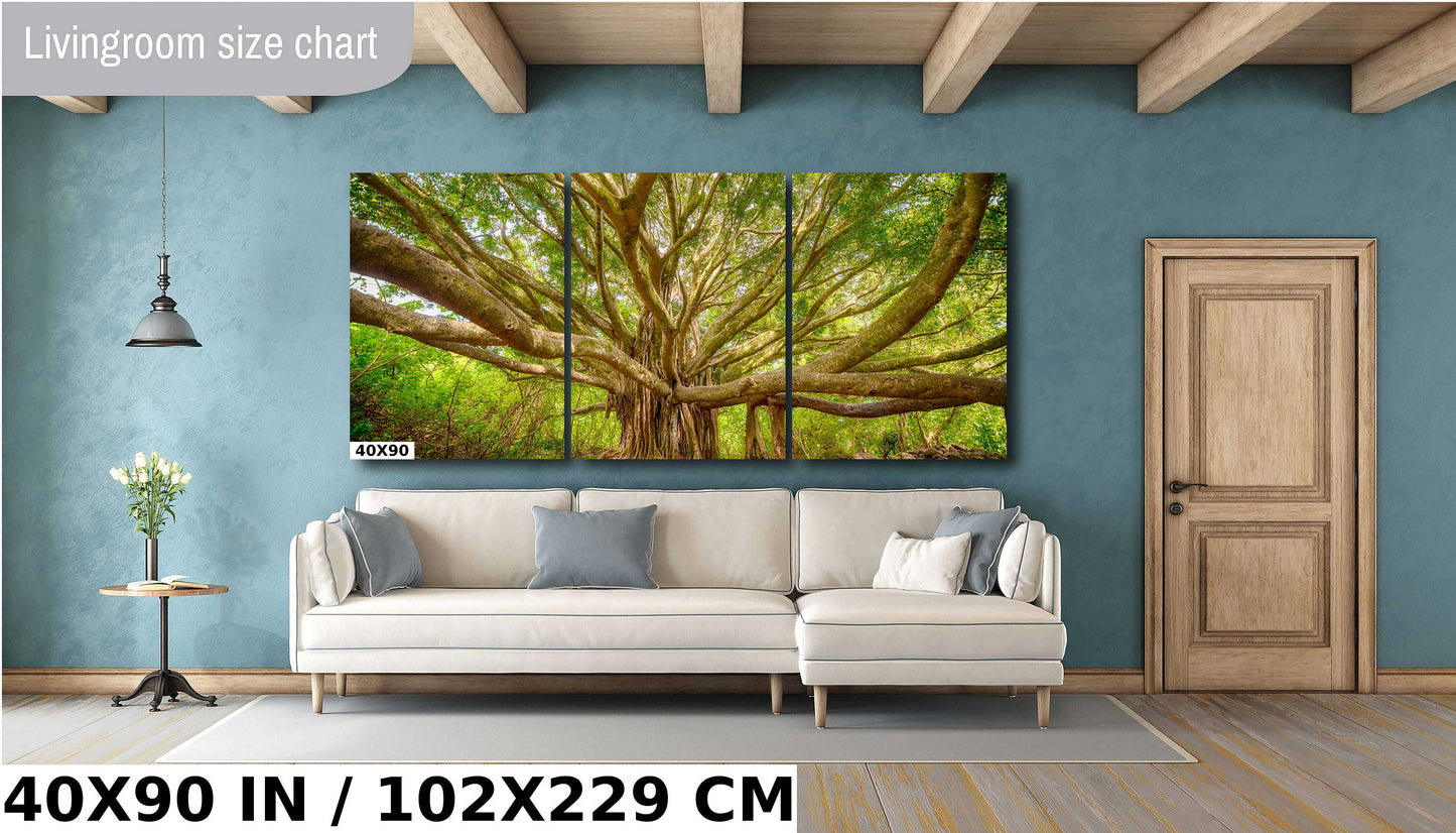 Maui Wall Art - Banyan Tree Photo on Premium Photo Paper | Hawaii Wall Decor