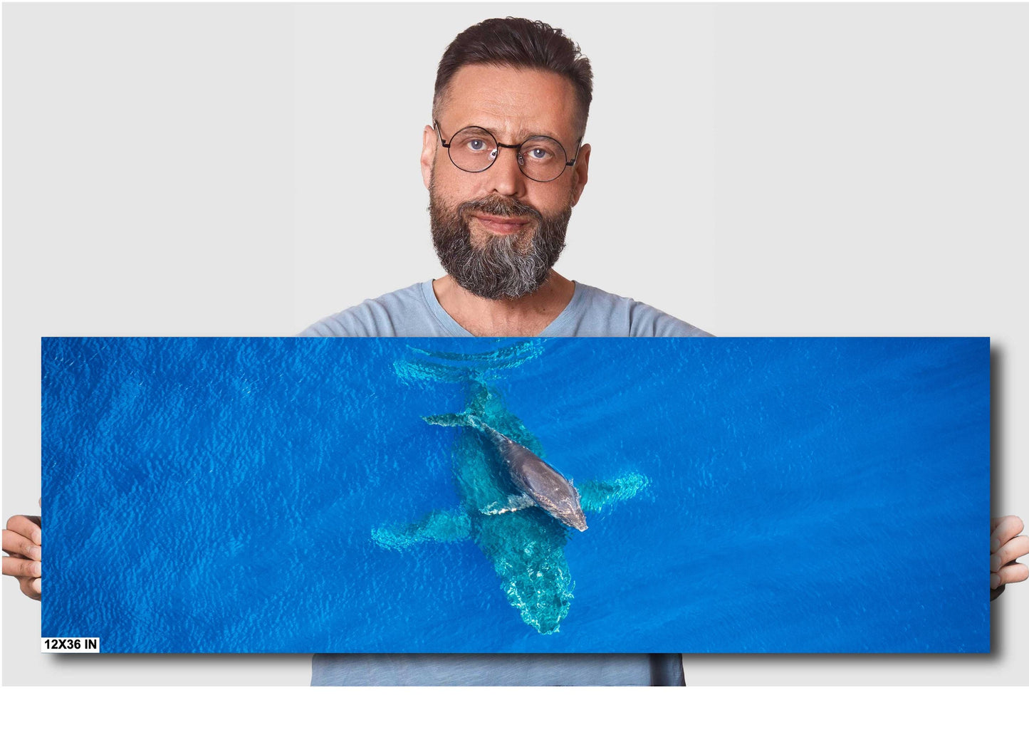 Maui Whale Wall Art | Hawaiian Whale Art – Coastal Home Decor Canvas