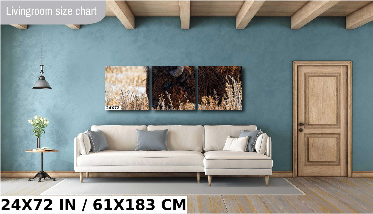 Bison Wall Art Print – Rustic Wildlife Canvas | Snowy Landscape Acrylic Decor