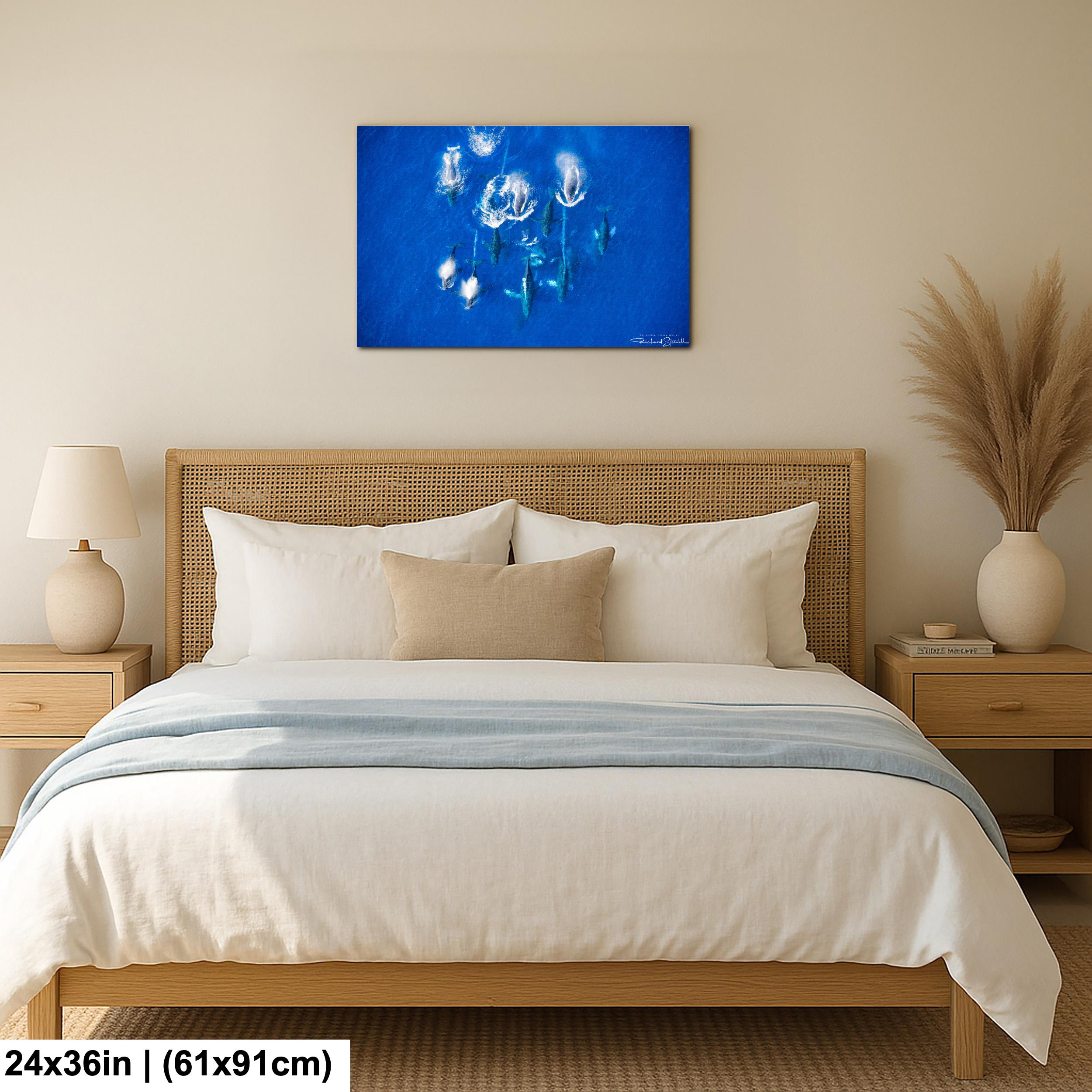 Humpback Whale Wall Art | 998 Millibar Photography Canvas