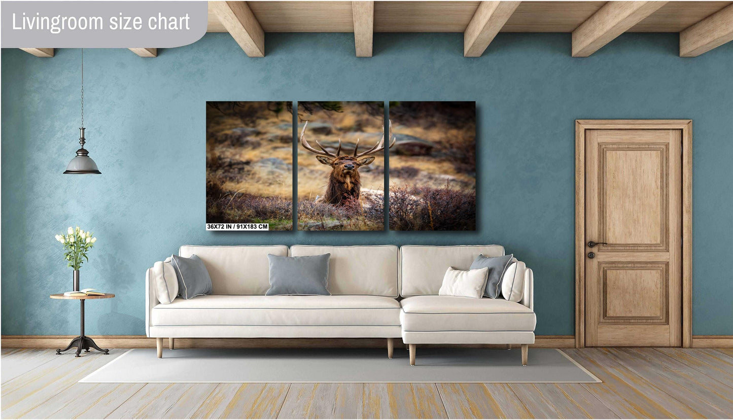 Elk Wall Art - Rocky Mountain Decor | Wildlife Print On Ready To Hang Canvas
