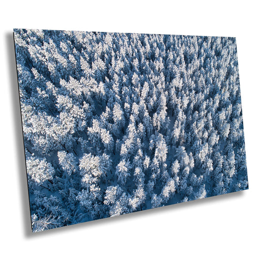 Winter Wall Art – Snowy Forest Print | Minimalist Nature Print with Pine Trees