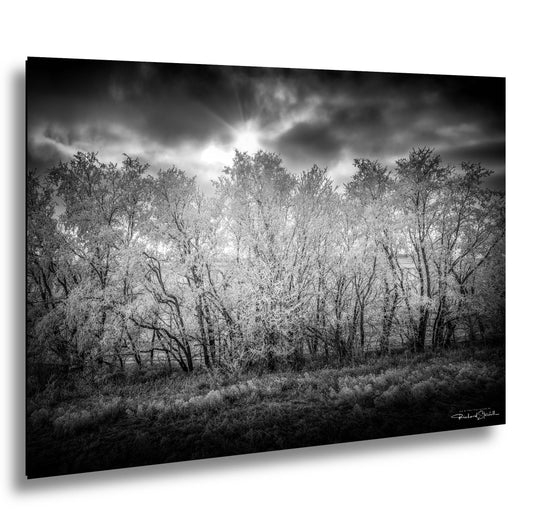 Rocky Mountain Landscape Print: Winter Nature Scene (Canvas or Metal)