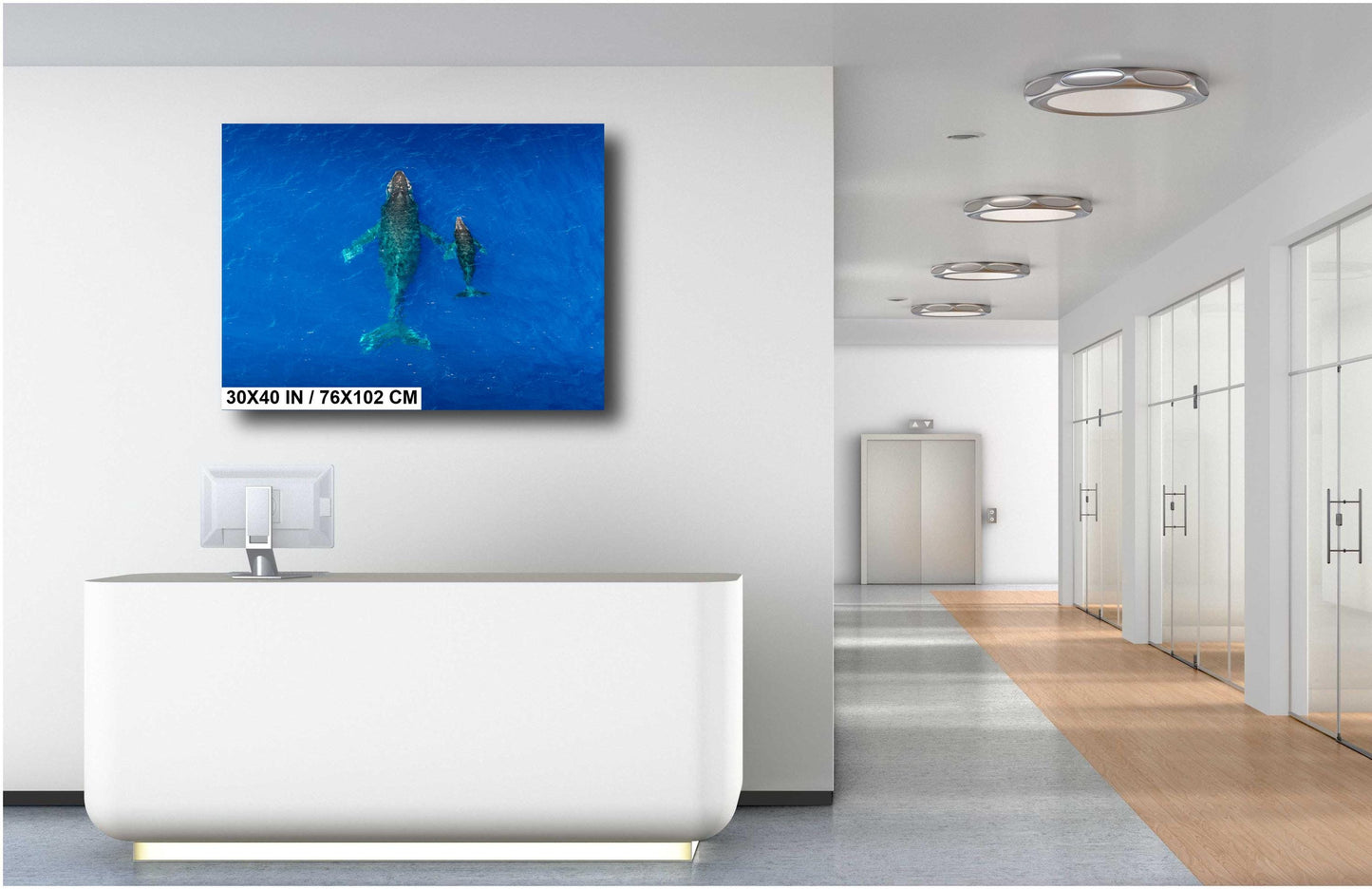 Humpback Whale Print - Canvas Wall Art | Metal & Acrylic Whale Wall Decor