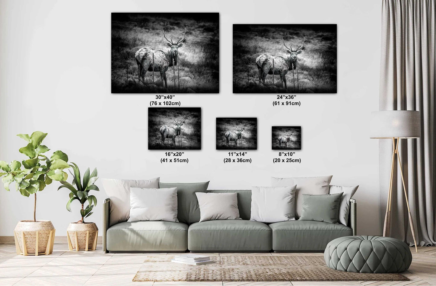Elk Wall Art - Rocky Mountain Decor | Wildlife Wall Decor for Nature Lovers