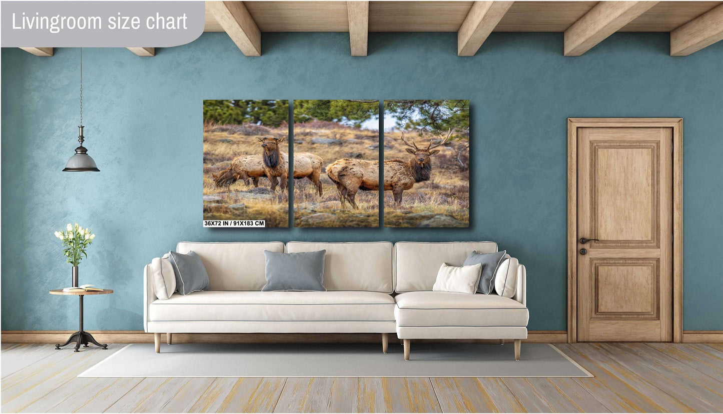 Elk Wall Art - Rocky Mountain Decor | Wildlife Print | Nature Home Decor