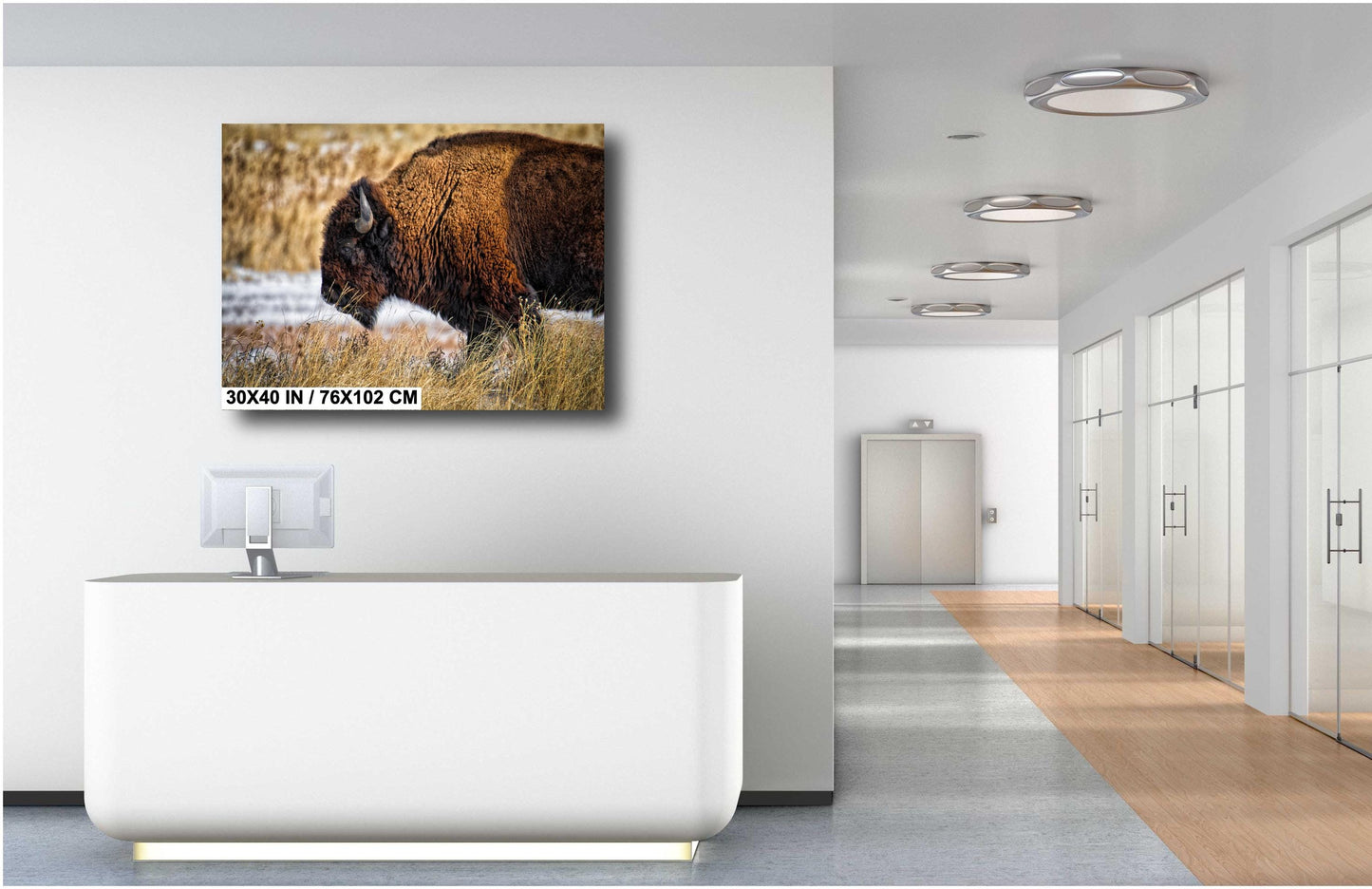 Buffalo Wall Art - Rustic Bison Snow Scene Canvas & Wildlife Metal Print