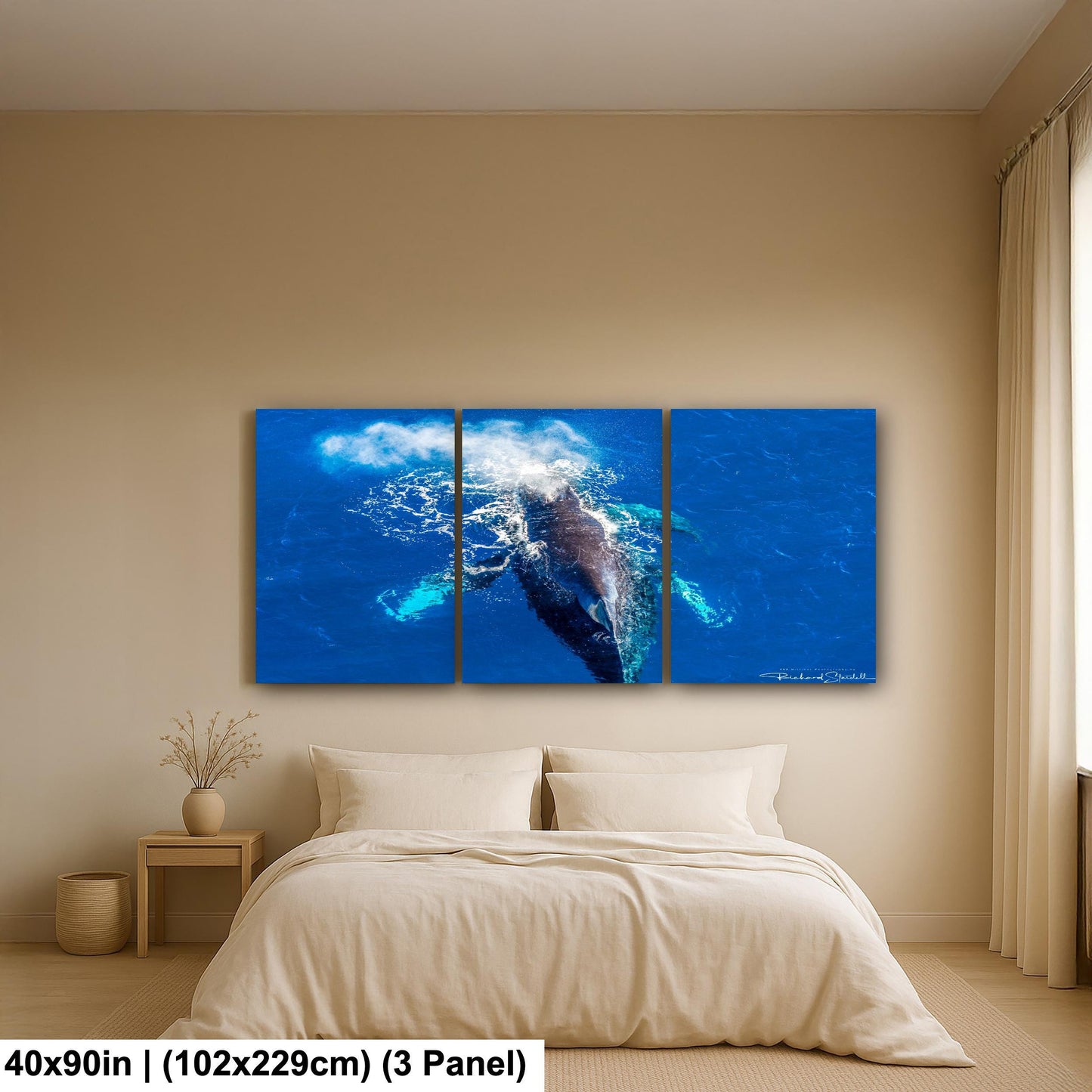 Humpback Whale Wall Art - Ocean Photo Print for Home