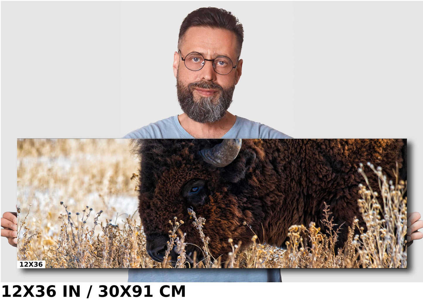 Bison Wall Art Print – Rustic Wildlife Canvas | Snowy Landscape Acrylic Decor