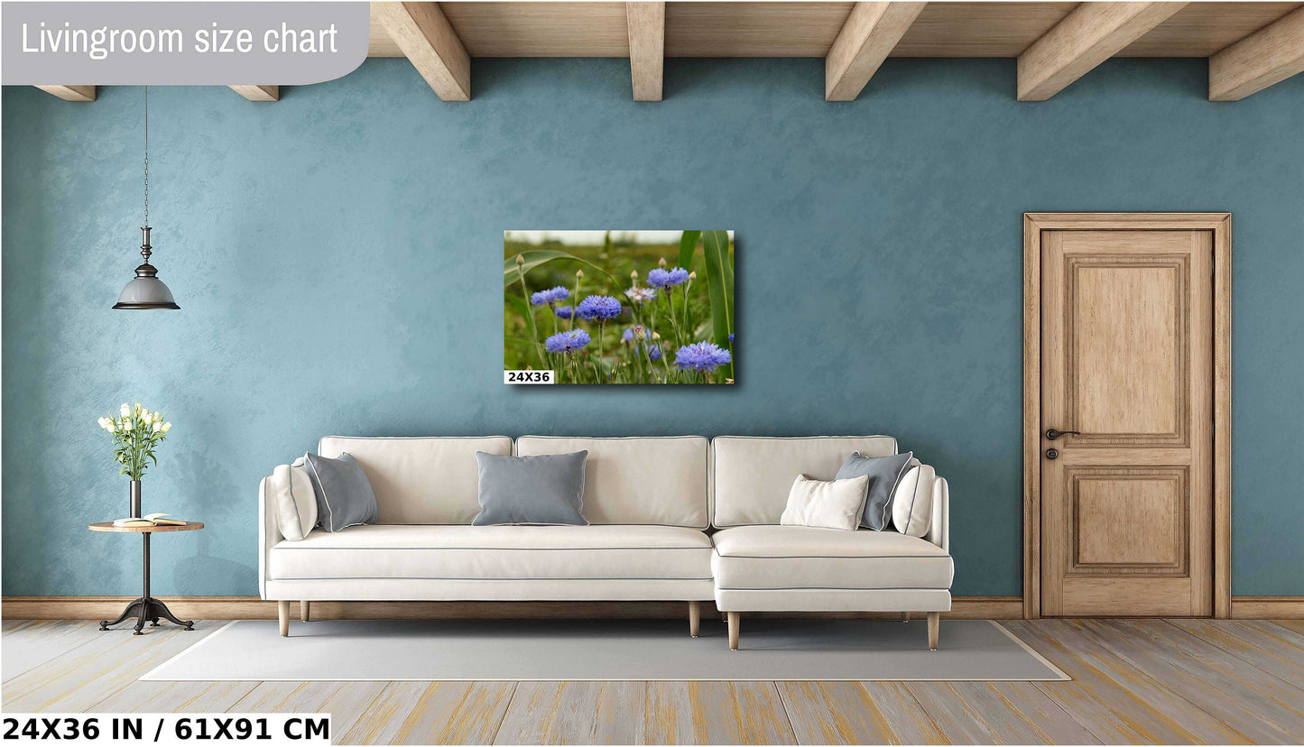 Colorado Wildflower Photo - Vivid Color Photograph | Ready to Hang Canvas & Metal Print