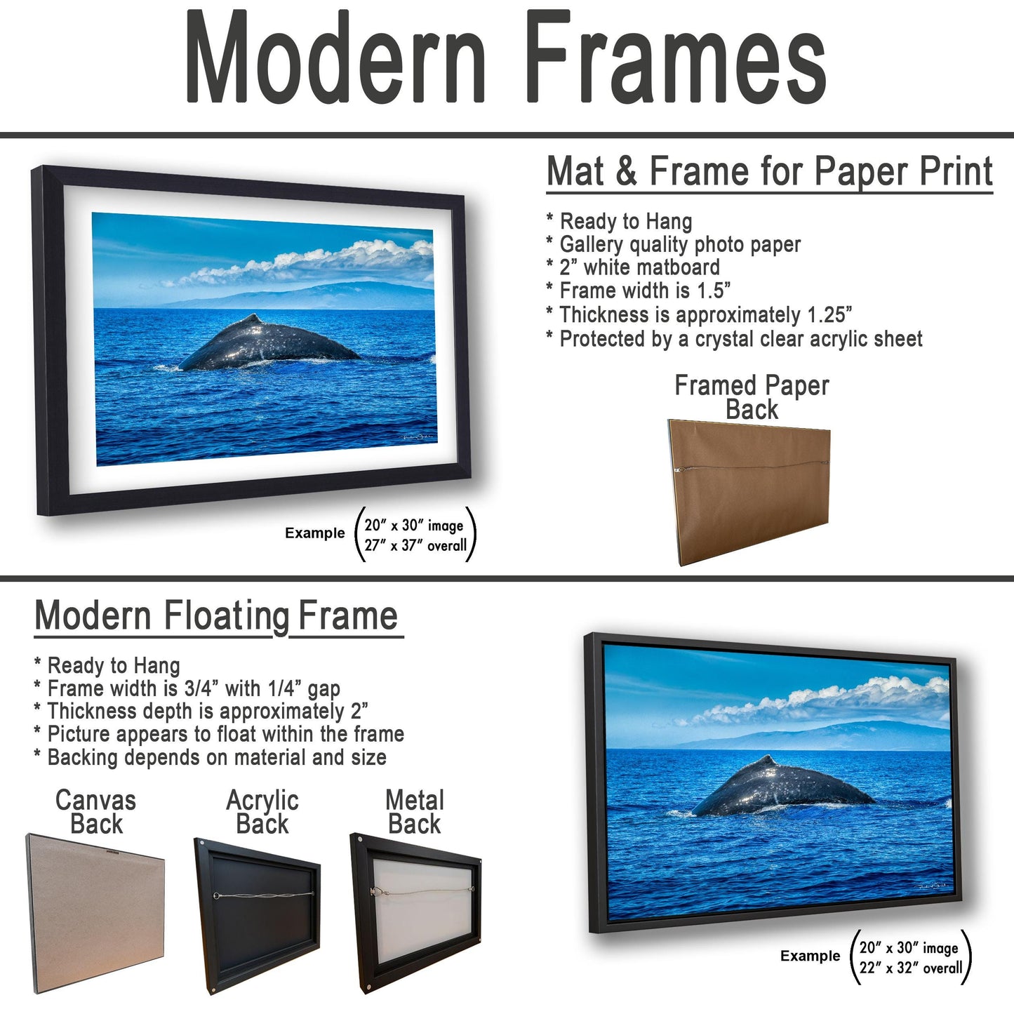 Humpback Whale Wall Art, Ocean Animal Print (Canvas, Metal, or Acrylic)