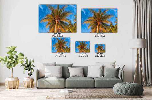 Palm Tree Wall Art - Tropical Canvas Print & Metal Wall Decor for Beach House