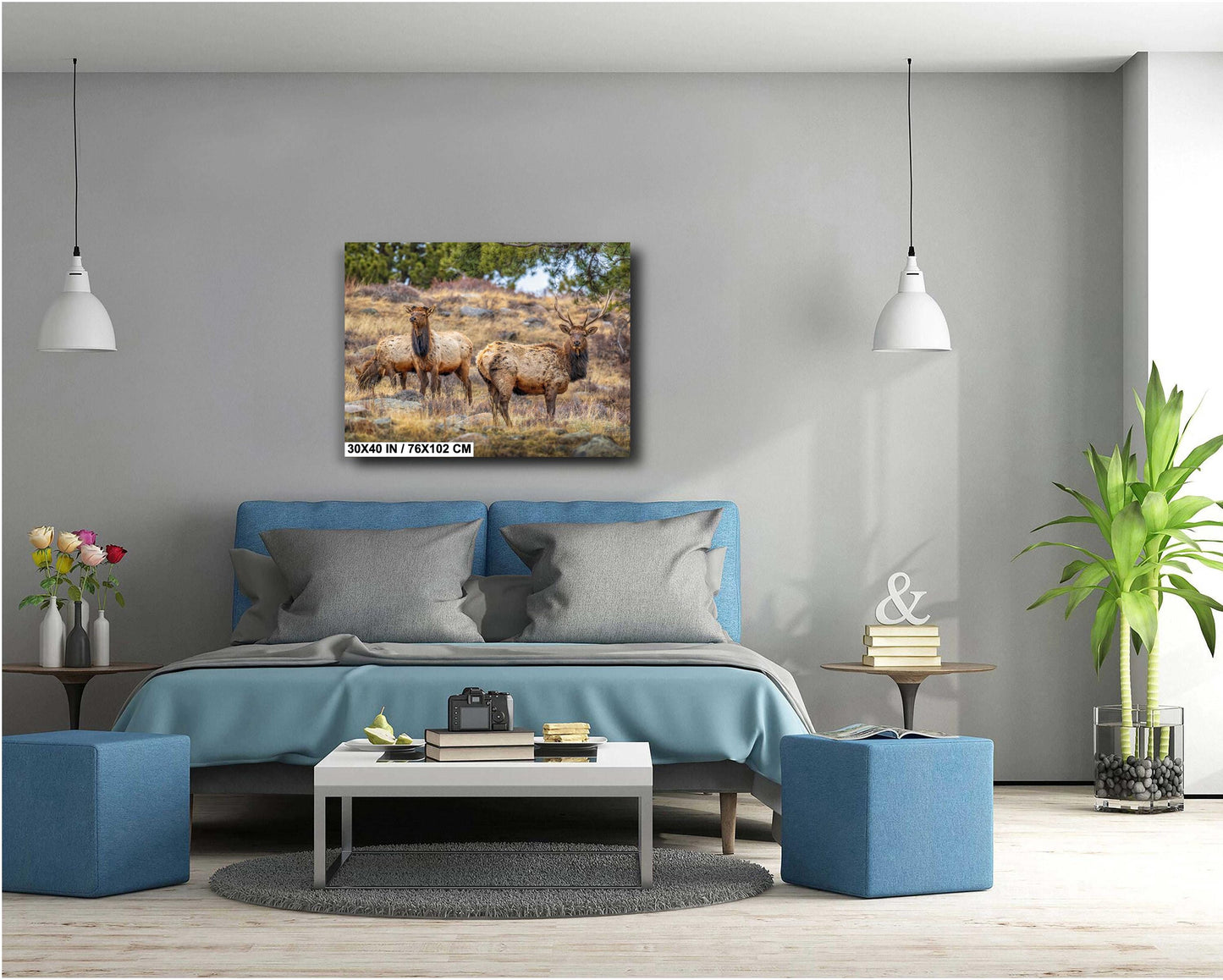 Elk Wall Art - Rocky Mountain Decor | Wildlife Print | Nature Home Decor