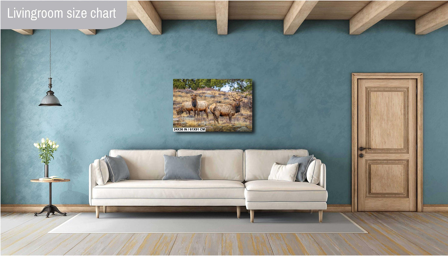 Elk Wall Art - Rocky Mountain Decor | Wildlife Print | Nature Home Decor