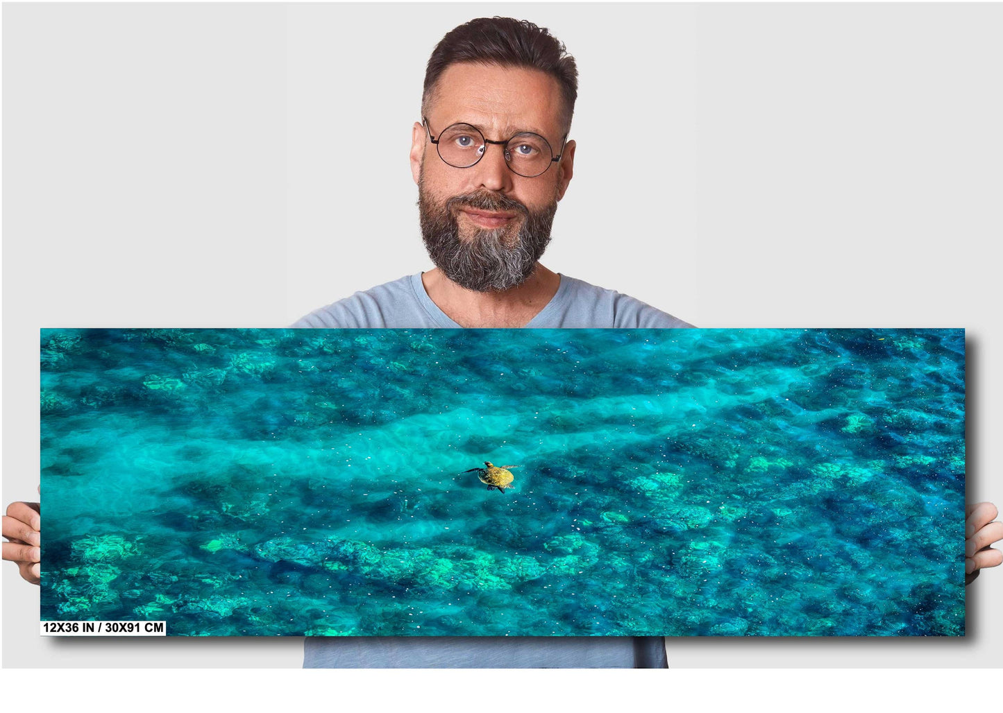 Sea Turtle Wall Art - Aerial Ocean Photography Print | Tropical Underwater Decor