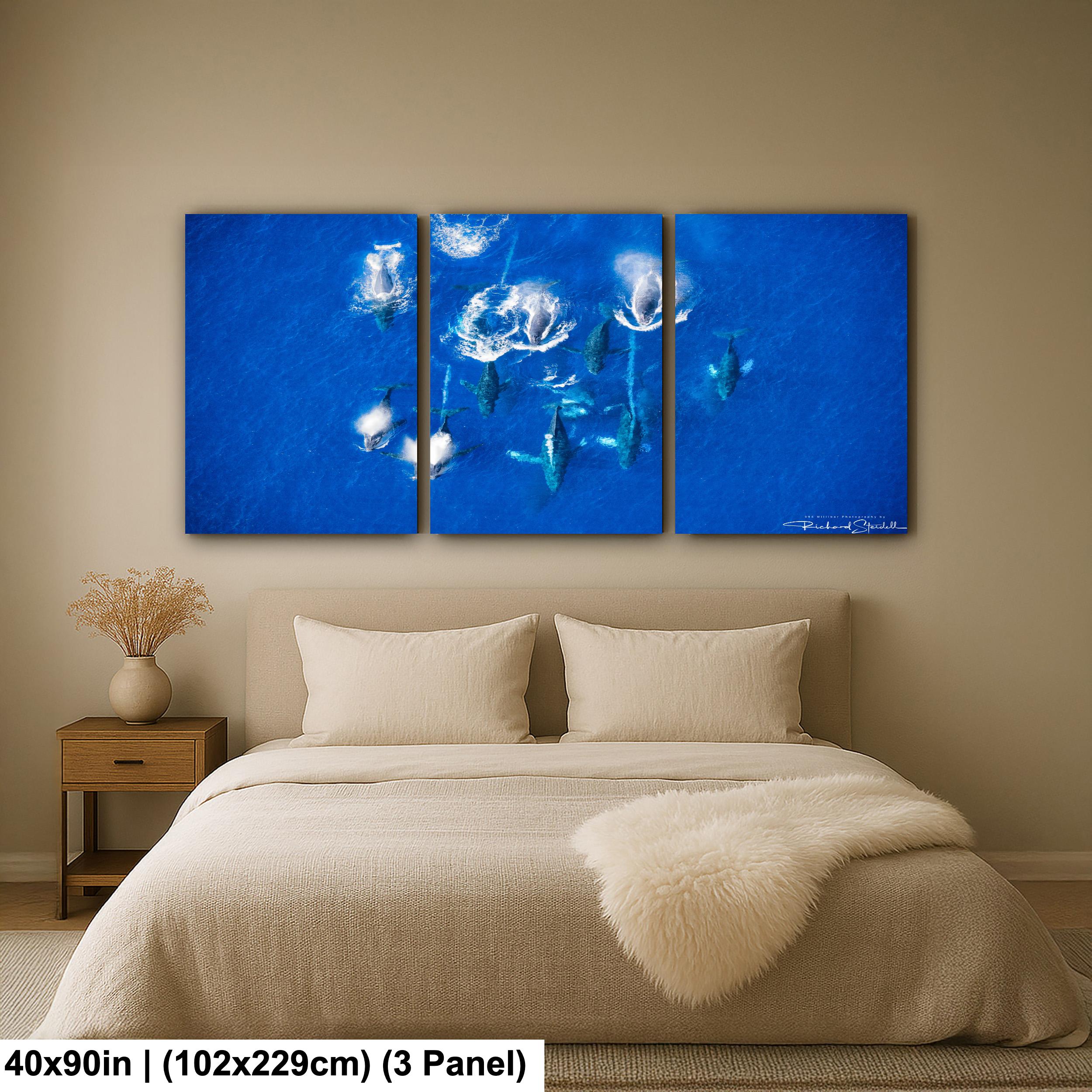 Humpback Whale Wall Art | 998 Millibar Photography Canvas