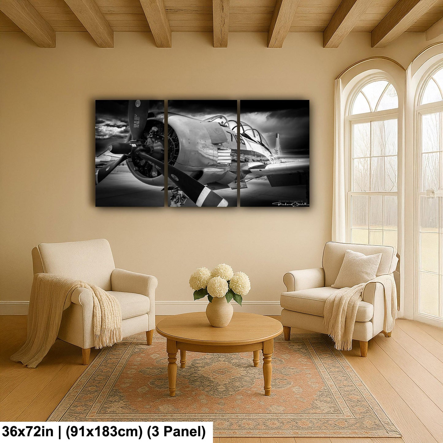Vintage Airplane Print - Retro Aviation Decor | Acrylic Flight Art Wall