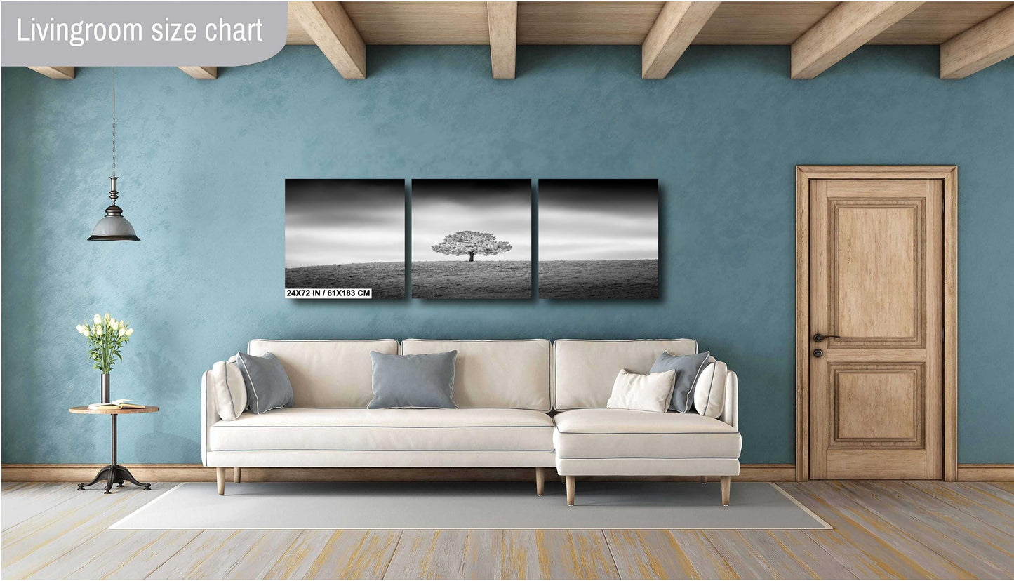 Black and White Photo Print – Minimalist Wall Art on Canvas, Metal & Acrylic Decor