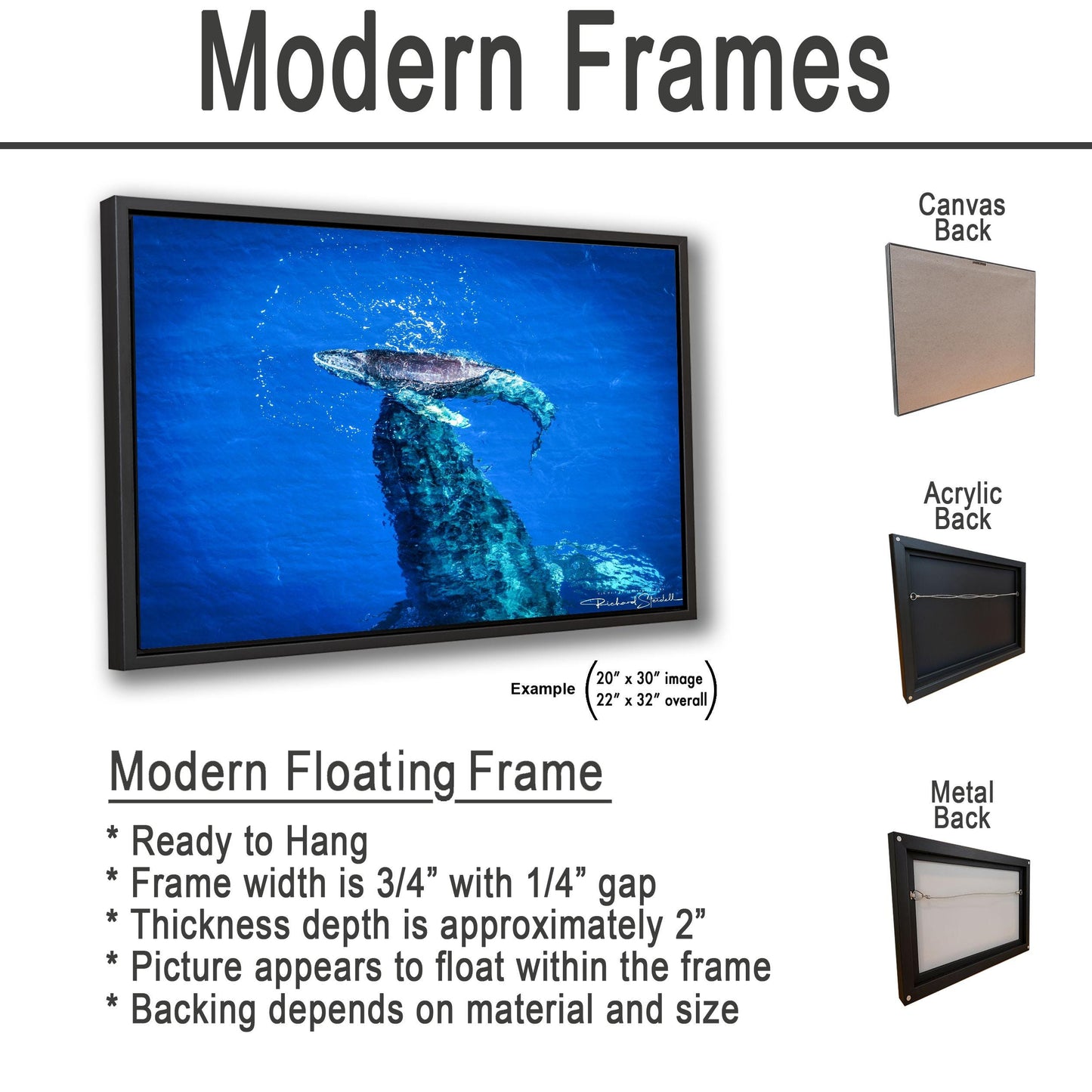 Humpback Whale Wall Art, Ocean Animal Print (Canvas, Metal, or Acrylic)