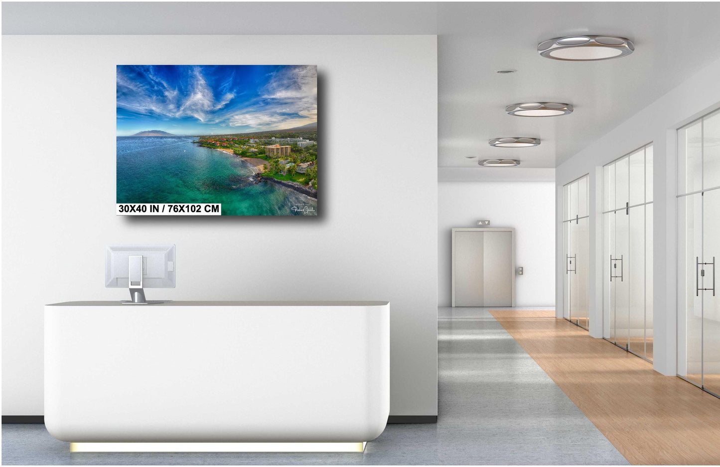 Maui Wall Art Metal Print – Wailea Photo Canvas | Tropical Palm Tree Wall Decor